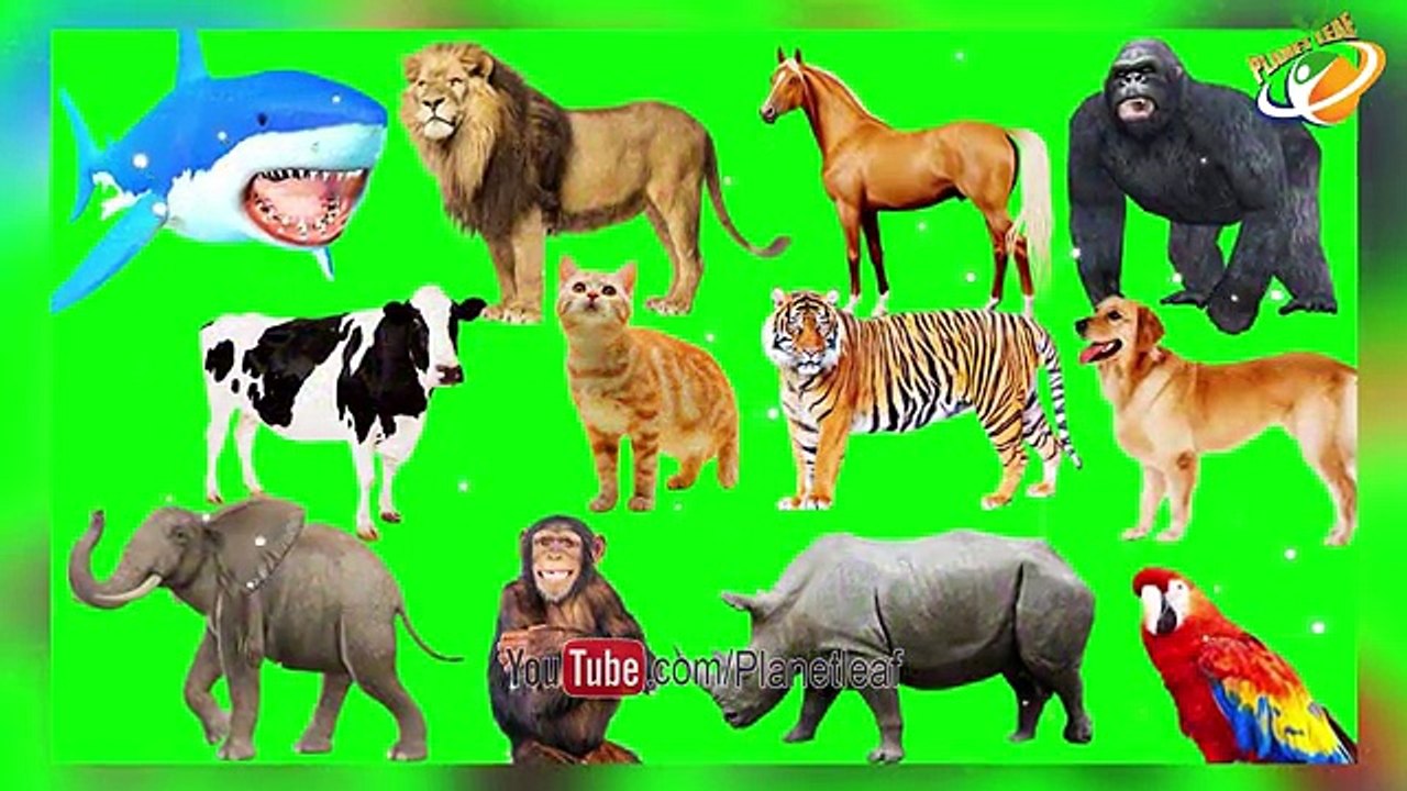 World's Top 10 Shocking And Unknown Facts __ మనల్ని ఆశ్చర్యపరిచే 10 నమ్మలేని నిజాలు _ With Subtitles