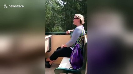 Man proposes to girlfriend on theme park train ride