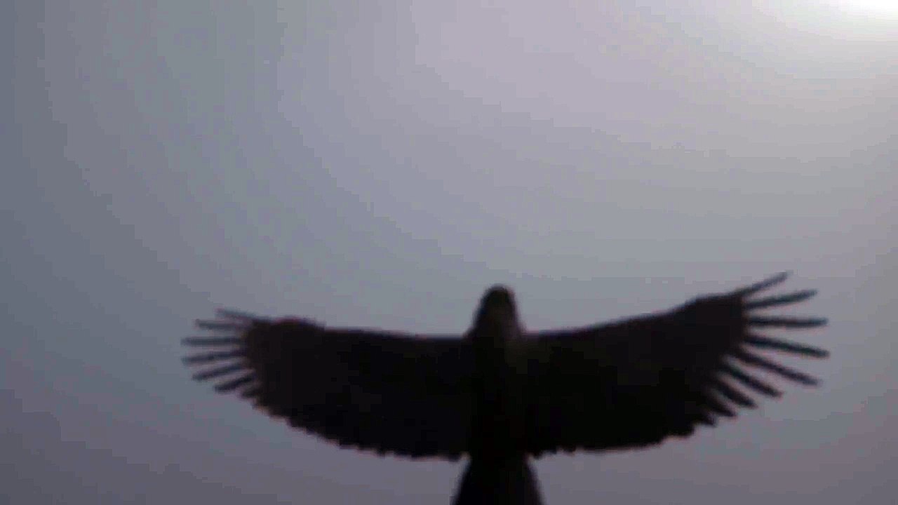 Game of Thrones : Conquest - le teaser officiel du jeu