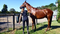 MY HORSE BATHING ROUTINE | EP 1 Horse 101 (NEW Equestrian Series)