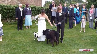Best Wedding Funny Videos - Jappa | Just For Fun