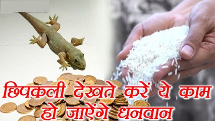 Lizard: छिपकली देखते ही करें ये काम, हो जाऐंगे धनवान | Astro Remedy For Money | Boldsky