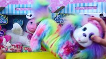 New PONY SURPRISE Unicorn & Pegasus   Puppy Surprise Kinder Eggs, Blind Bags, Surprise Toys