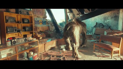 What is Forex Trading - Forex Exchanging