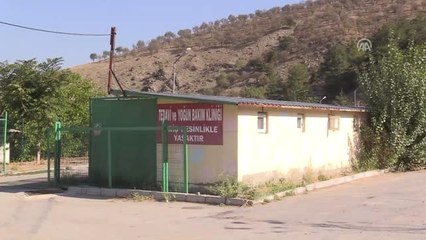 Minik Öğrenciler Hayvanlarla Buluştu