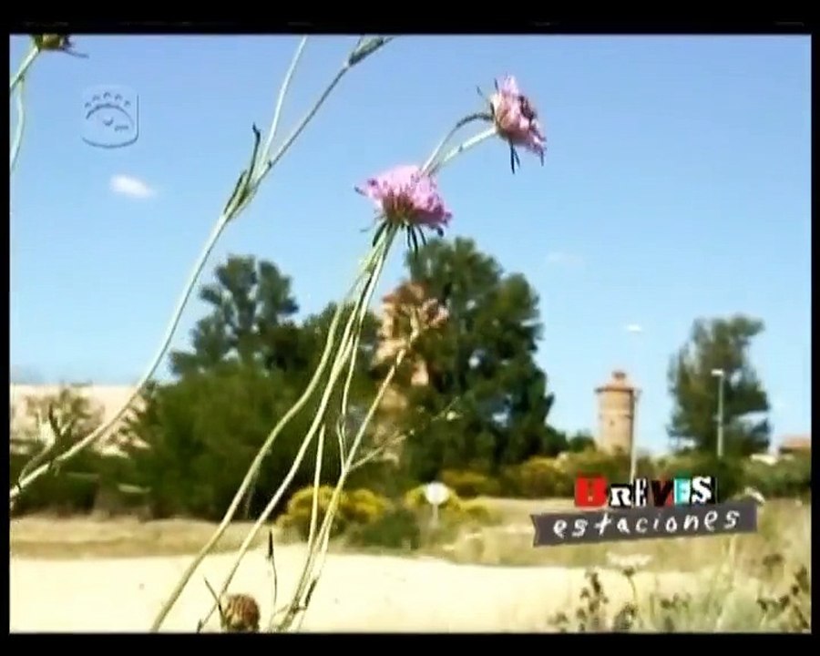 MATANZA DE LOS OTEROS. DOCUMENTAL