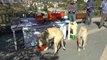 Tunceli'de Sokak Hayvanları Koruma Günü Etkinlikleri