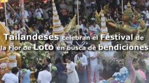 Tailandeses celebran el Festival de la Flor de Loto en busca de bendiciones