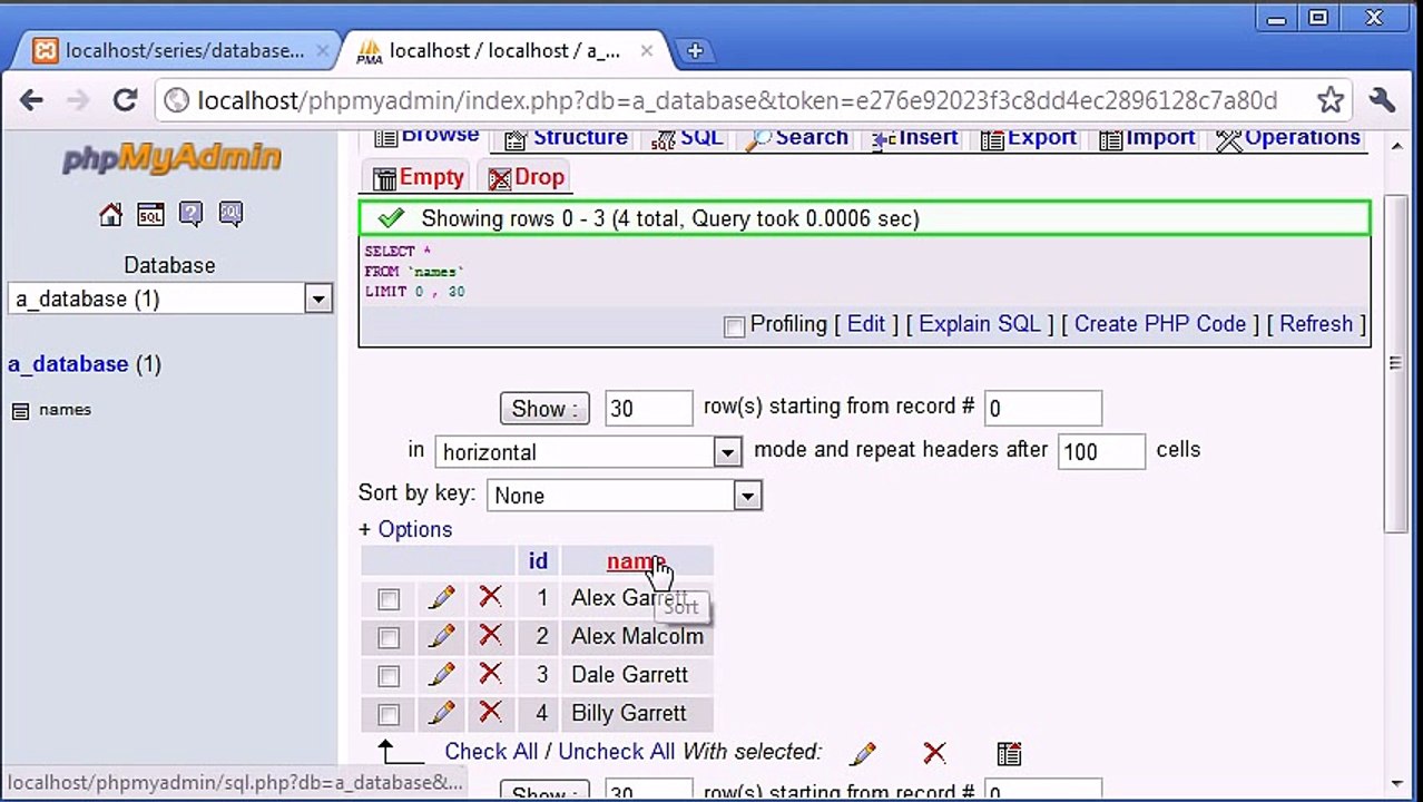 PHP Training In Jaipur|PHP Training Companies In Jaipur| LIKE With a Search Engine Example Part 4
