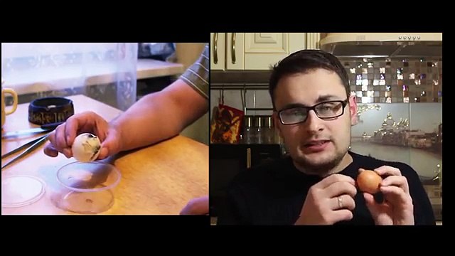 Гомункул - разоблачаем по шагам (Homunculus debunked)