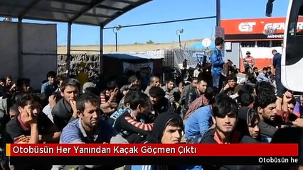 Otobüsün Her Yanından Kaçak Göçmen Çıktı