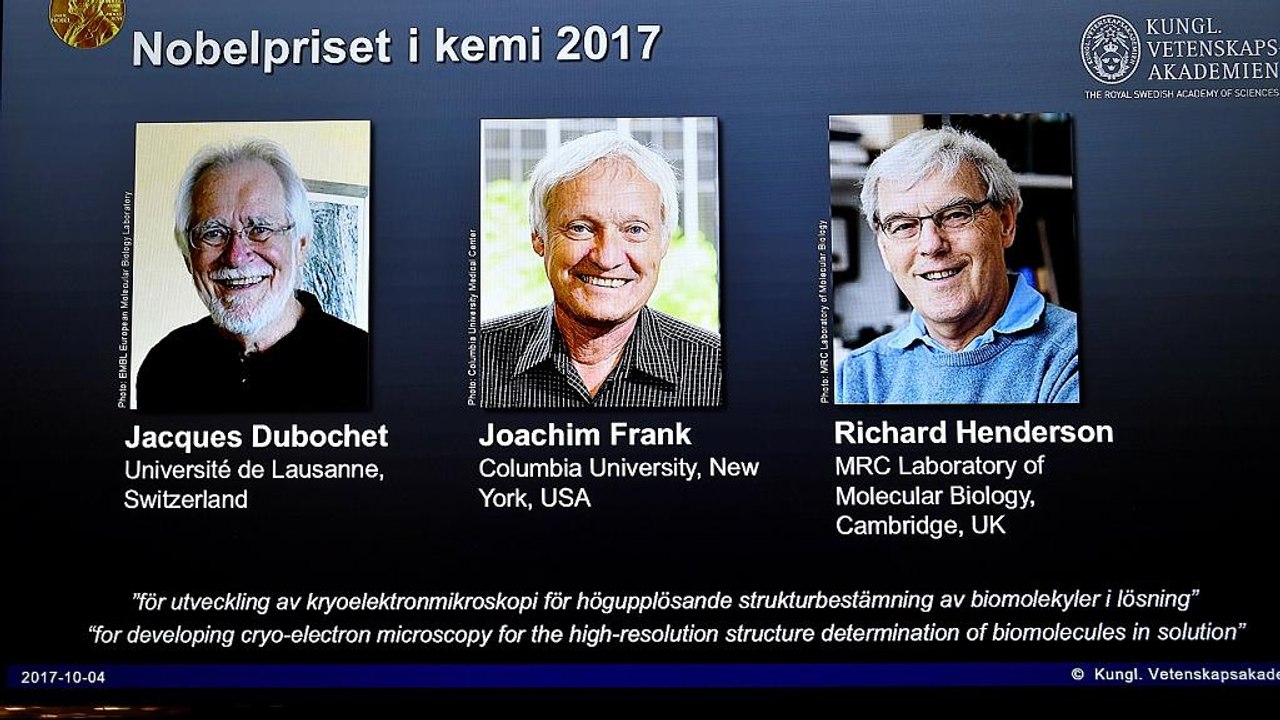 Chemie-Nobelpreis: Dubochet (CH), Frank (D-USA) und Henderson (GB) für Kryo-Elektronenmikroskopie-Forschung