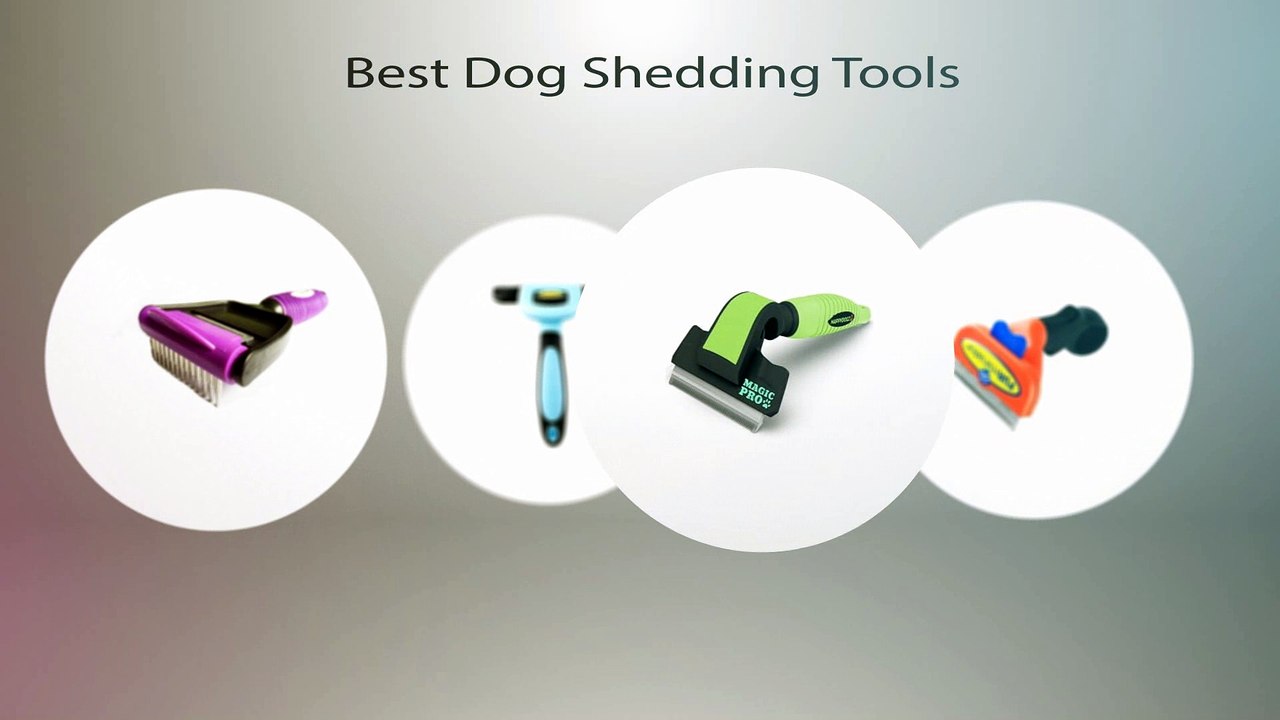 Dog DeShedding Tools 2017