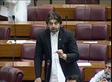 PTI Ali Muhammad Khan In National Assembly