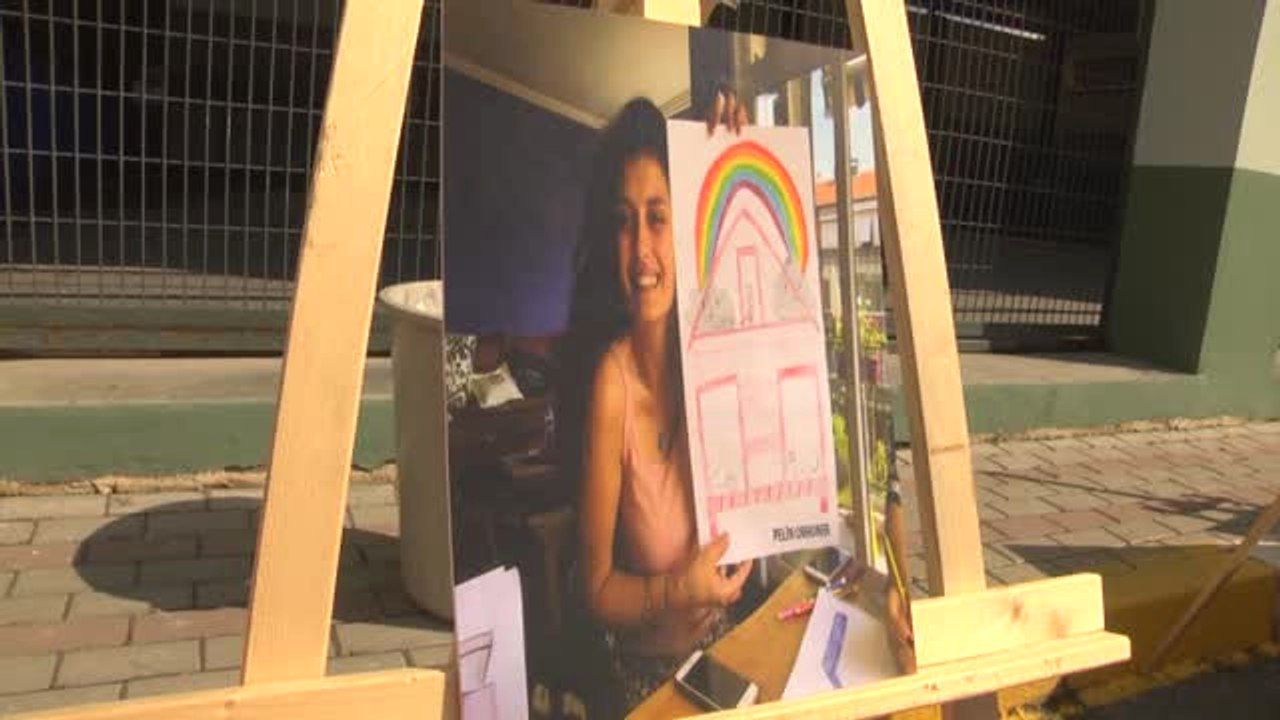 Hülya Koçyiğit Sokak Hayvanları İçin Kulübe Tasarladı