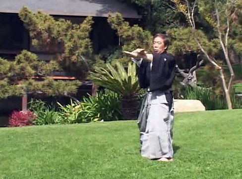 Shotokan Karate Kanazawa Mastering Karate 02 Ashi Waza