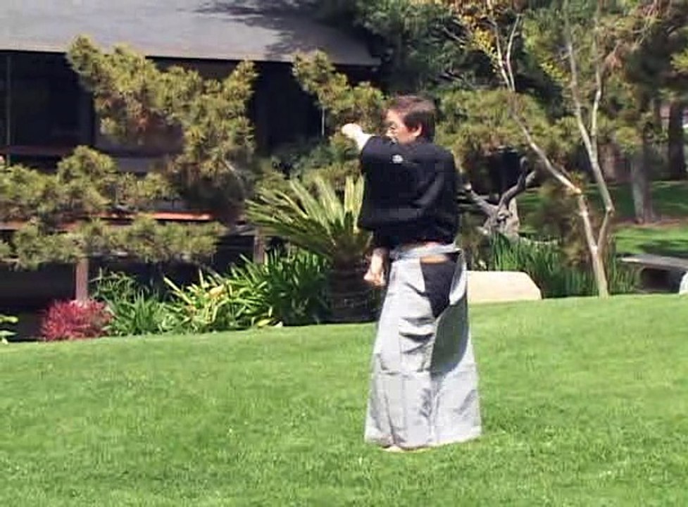 Shotokan Karate Kanazawa Mastering Karate 06 Niju Hachi Ho