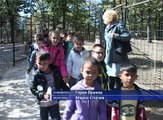 U borskom Zoo vrtu obeležen Međunarodni dan zaštite životinja, 04. oktobar 2017. (RTV Bor)