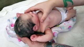 Details! Reborn Baby Girl Pixley! How I Ebay Shop For Reborns! Fake Baby! Realistic Baby!