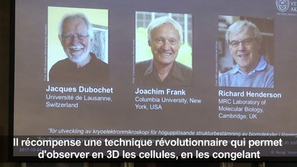 Le Nobel de chimie à un Suisse, un Américain et un Britannique