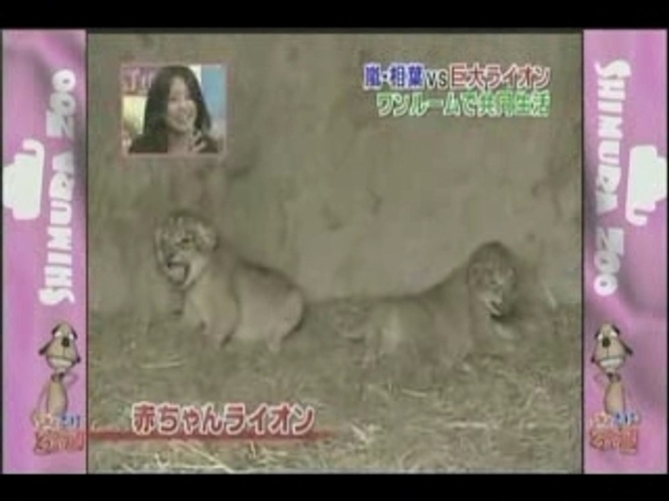 Aiba Speaks English.