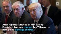 Tillerson calls report of rift with Trump 'petty nonsense'