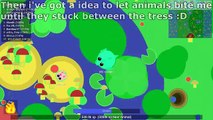 NEW BEST MOPE.IO TROLLING EVER! GETTING ANIMALS STUCK! BEST OF MOPE.IO TROLLING (Mope.io)