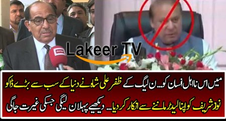 Zadar Ali Shah Badly Bashing And Taking Class of Nawaz Sharif