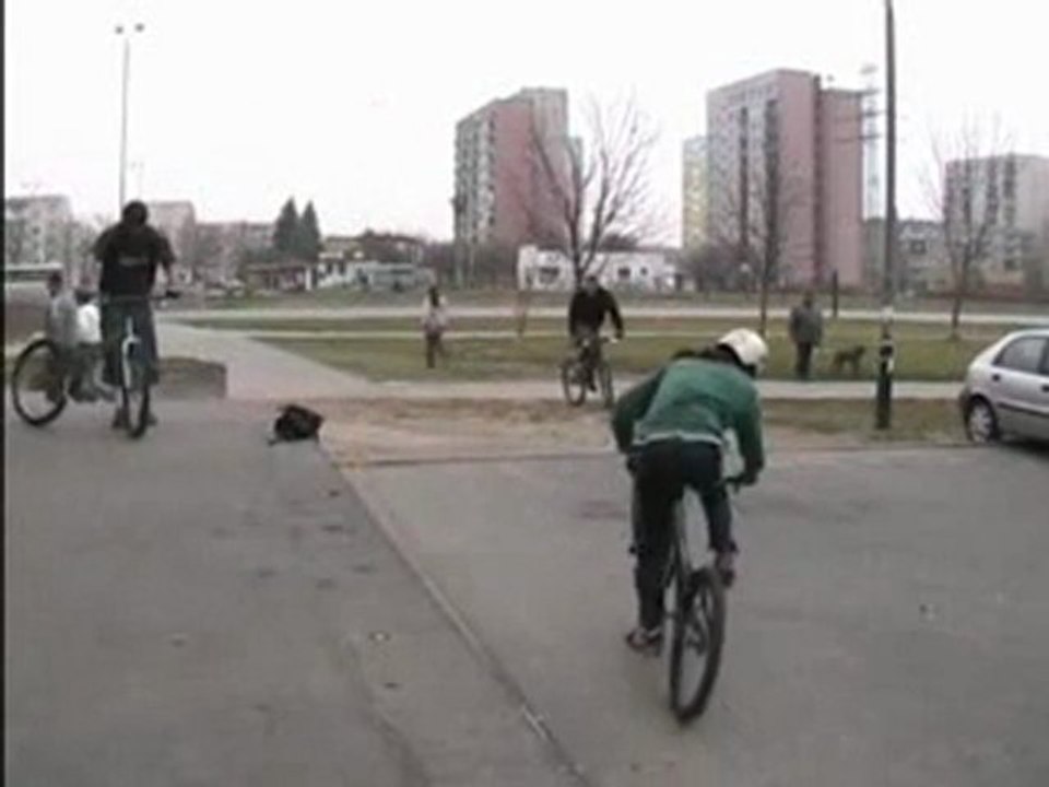 INDEPENDENS TRIAL