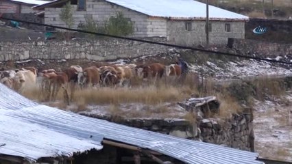 Ardahan'a Karla Karışık Dolu Yağdı