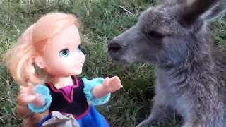 Anna and Elsa Toddlers Trip Koalas Zoo # 2 Feed real Kangaroos Swim and Meet animals Toys In Action
