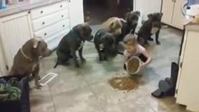Você vai ficar impressionado com essa menina