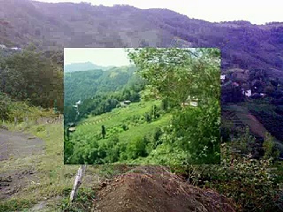 Akçaabat Çamlıca Köyü