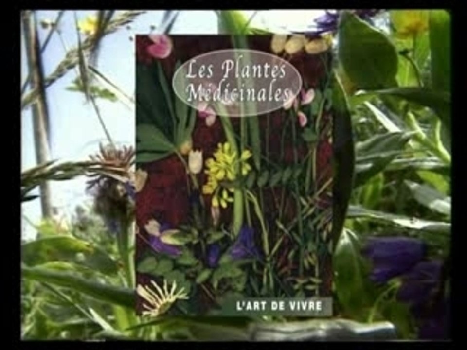 Les plantes médicinales