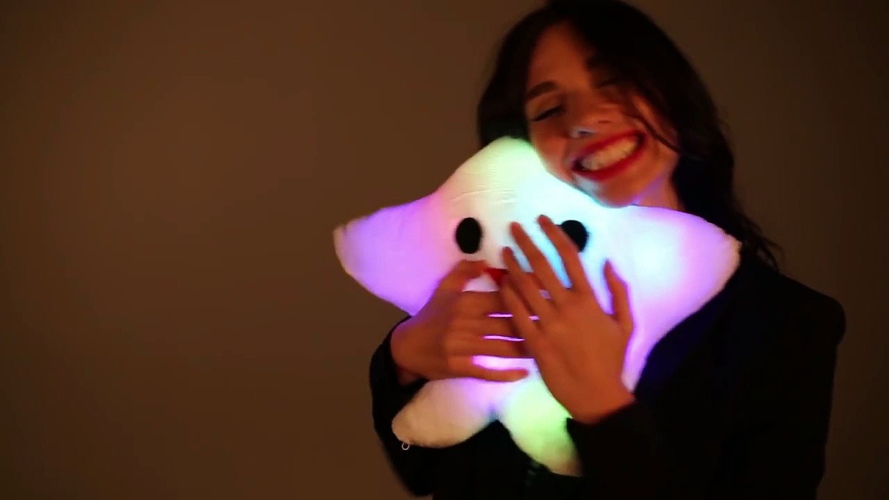 Light Up Pillow