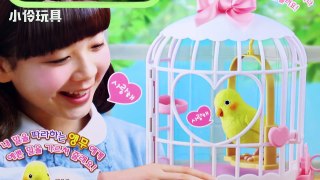 粉紅豬小妹的新寵！超神奇學語小鸚鵡！ | 小伶玩具 Xiaoling toys