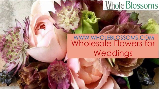 Wholesale Flowers for Weddings - wholeblossoms.com