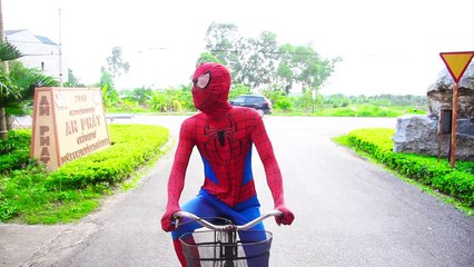 Spiderman Prank Joker into a Lake Elsa Love Superman Pregnant Doctor Injections Anna Superhero funny