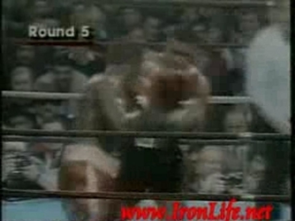 Mike tyson knockout highlights 3