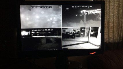 Las Vegas Family Finds Stranger Asleep in Home