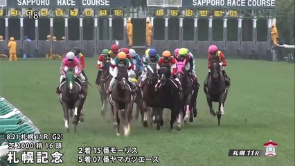 2016年 天皇賞・秋の参考レース映像