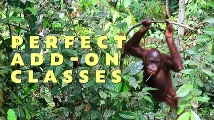 Best Arm Toning Exercises For Summer ♥ 5 Minutes Miracle | Mantinani