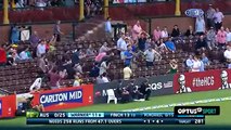 Top 6 Classic Cricket Crowd Catches - By Legend Of Fun