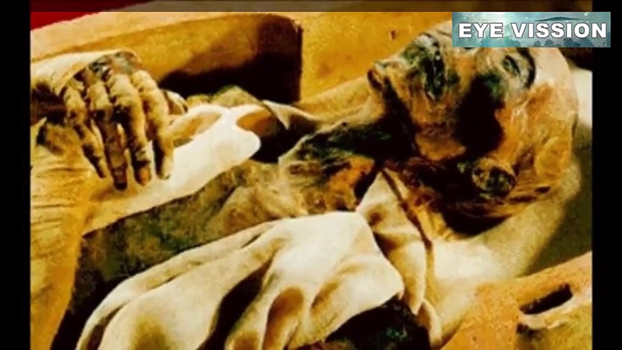 Firon ke Bare Mein hiran kon malumat Documentary With Scientific Proofs Urdu By Legend Of Fun