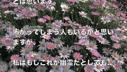 海老蔵ブログに心霊写真…。小林麻央かとネットの話題に賛否両論！”あなたはどっち？”