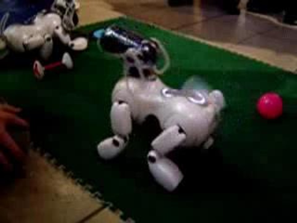Aibo7 Sony