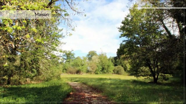 A vendre - Maison/villa - Charolles (71120) - 6 pièces - 150m²