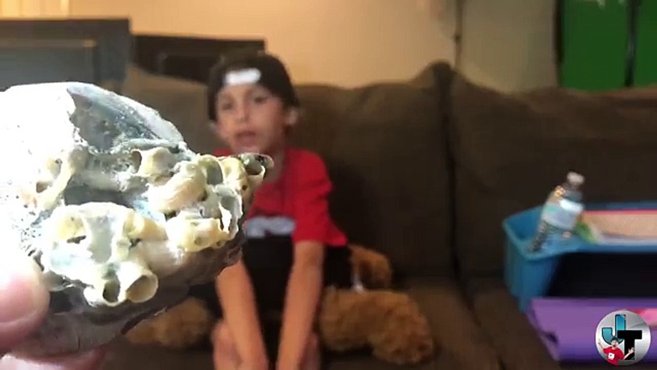 Evil Doll Annabelle mailed to us FREAKS US OUT and haunts us like a SCARY CLOWN - Part 29