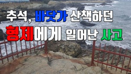 [자막뉴스] 추석 당일, 바닷가 산책하던 형제에게 일어난 사고 / YTN