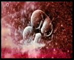 Celulas madre embrionarias: Fabricando ovulos y espermatozoides (Renee Riejo)